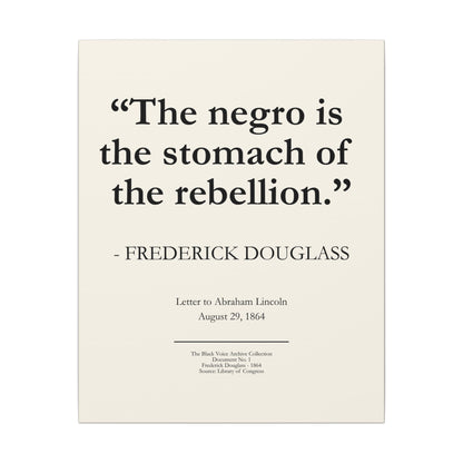 Historic Quote Canvas Print — “The negro is the stomach of the rebellion.” — Frederick Douglass - 16x20 inch