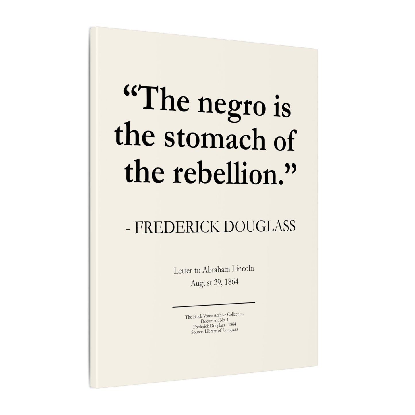 Historic Quote Canvas Print — “The negro is the stomach of the rebellion.” — Frederick Douglass - 16x20 inch