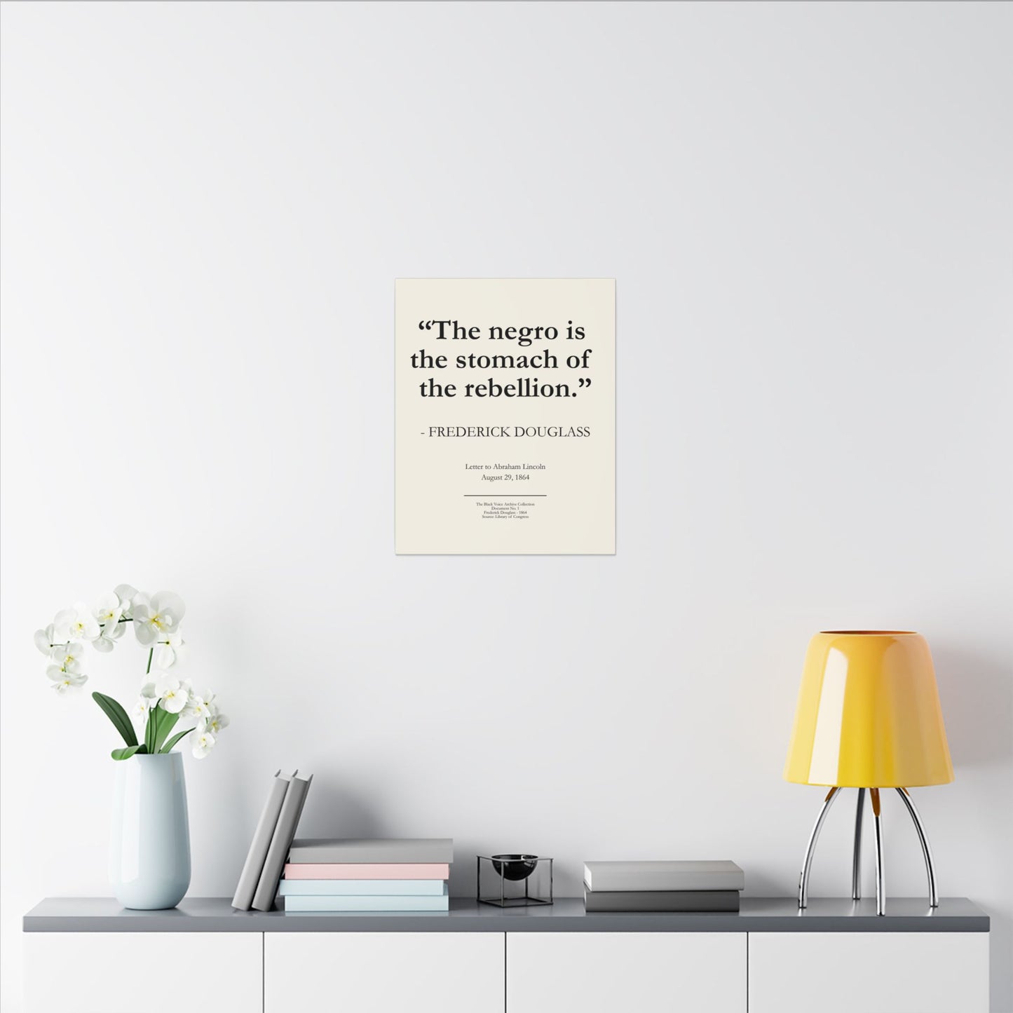 Historic Quote Canvas Print — “The negro is the stomach of the rebellion.” — Frederick Douglass - 16x20 inch